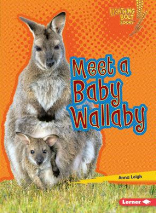 Kniha Meet a Baby Wallaby Anna Leigh