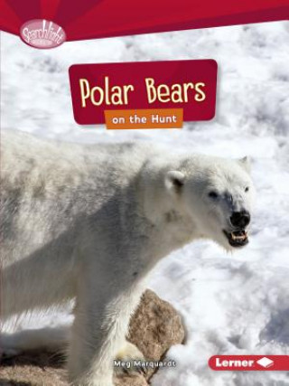 Book Polar Bears on the Hunt Meg Marquardt