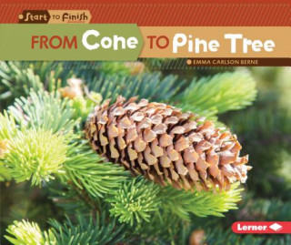 Kniha From Cone to Pine Tree Emma Berne