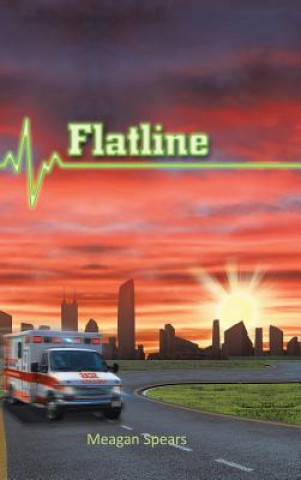 Книга Flatline Meagan Spears