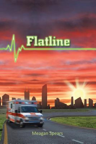 Kniha Flatline Meagan Spears