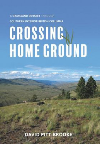 Könyv Crossing Home Ground David Pitt-Brooke