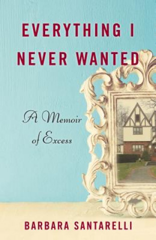 Buch Everything I Never Wanted Barbara Santarelli