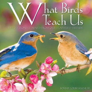 Książka What Birds Teach Us Bonnie Louise Kuchler