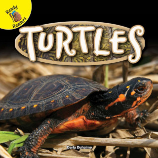 Buch TURTLES Darla Duhaime
