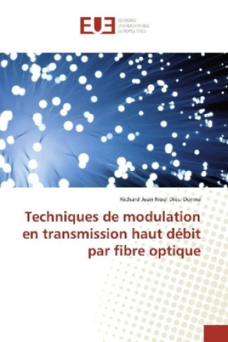 Buch Techniques de modulation en transmission haut débit par fibre optique Richard Jean Noel Dieu Donne