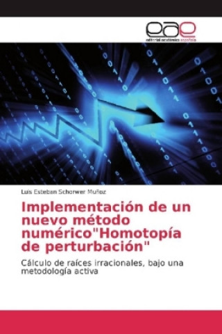 Könyv Implementación de un nuevo método numérico"Homotopía de perturbación" Luis Esteban Schorwer Muñoz