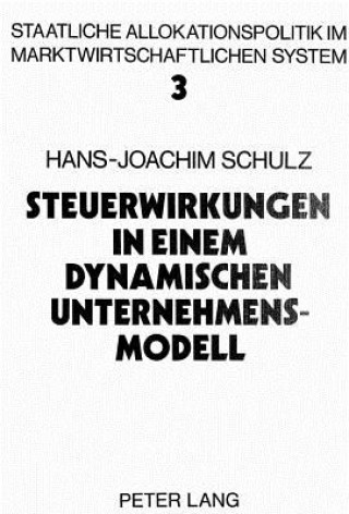 Kniha Steuerwirkungen in einem dynamischen Unternehmensmodell Hans-Joachim Schulz