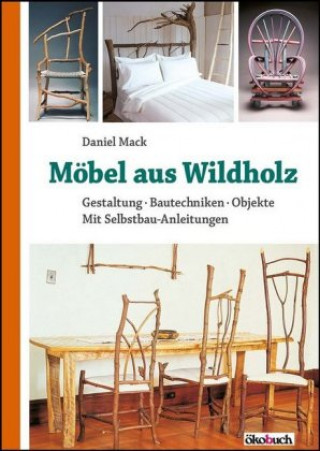 Kniha Möbel aus Wildholz Daniel Mack