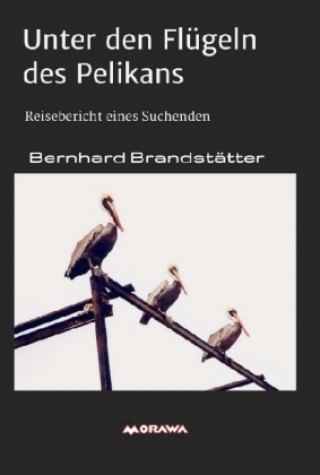 Könyv Unter den Flügeln des Pelikans Bernhard Brandstätter