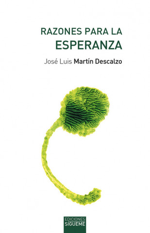 Kniha Razones para la esperanza JOSE LUIS MARTIN DESCALZO