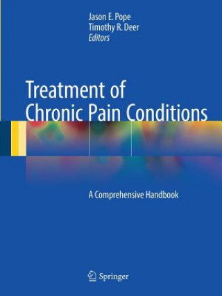 Buch Treatment of Chronic Pain Conditions Jason E. Pope