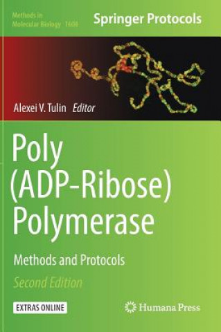 Книга Poly(ADP-Ribose) Polymerase Alexei V. Tulin