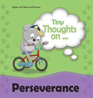 Book Tiny Thoughts on Perseverance Agnes de Bezenac