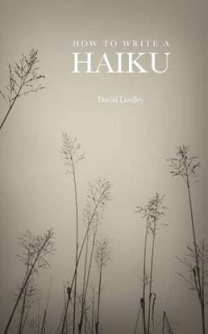 Kniha How to Write a Haiku David Lindley