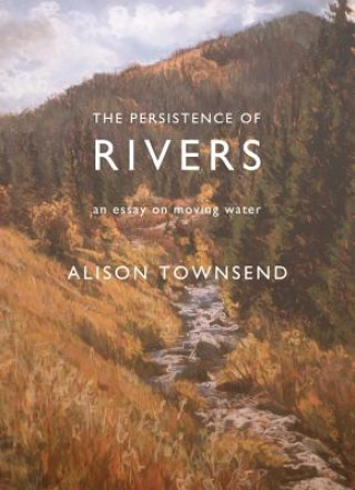 Knjiga Persistence of Rivers Alison Townsend