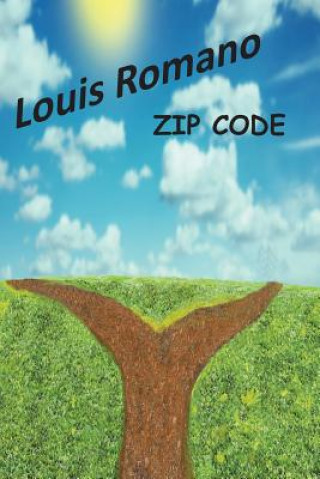 Livre ZIP CODE Louis Romano