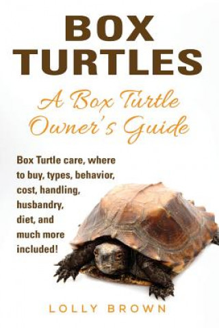 Kniha BOX TURTLES Lolly Brown