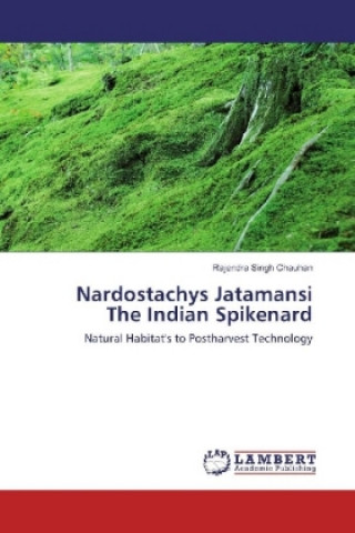 Carte Nardostachys Jatamansi The Indian Spikenard Rajendra Singh Chauhan