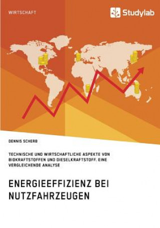 Książka Energieeffizienz bei Nutzfahrzeugen. Technischer und wirtschaftlicher Aspekte von Biokraftstoffen und Dieselkraftstoff Dennis Scherb
