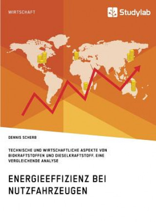 Könyv Energieeffizienz bei Nutzfahrzeugen. Technischer und wirtschaftlicher Aspekte von Biokraftstoffen und Dieselkraftstoff Dennis Scherb