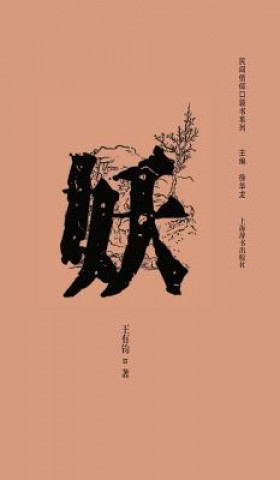Könyv CHI-PCKT BK OF POPULAR BELIEFS Youjun Wang