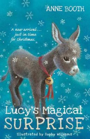 Kniha Lucy's Magical Surprise Anne Booth