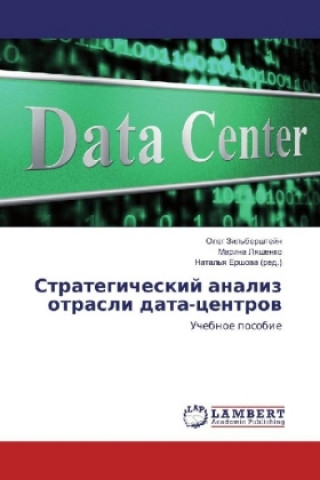 Buch Strategicheskij analiz otrasli data-centrov Oleg Zil'bershtejn