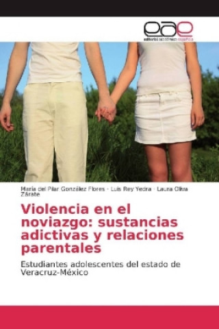 Könyv Violencia en el noviazgo: sustancias adictivas y relaciones parentales María del Pilar González Flores