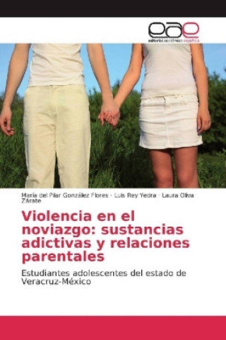 Buch Violencia en el noviazgo: sustancias adictivas y relaciones parentales María del Pilar González Flores