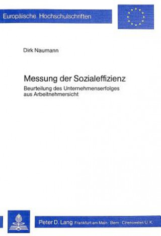 Книга Messung der Sozialeffizienz Dirk Naumann