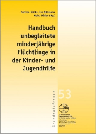 Книга Handbuch unbegleitete minderjährige Flüchtlinge in der Kinder- und Jugendhilfe Sabrina Brinks