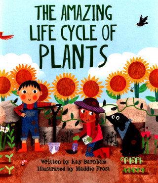 Könyv Look and Wonder: The Amazing Plant Life Cycle Story Kay Barnham