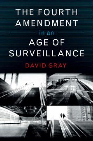 Kniha Fourth Amendment in an Age of Surveillance GRAY  DAVID