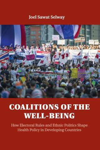 Kniha Coalitions of the Well-being SELWAY  JOEL SAWAT