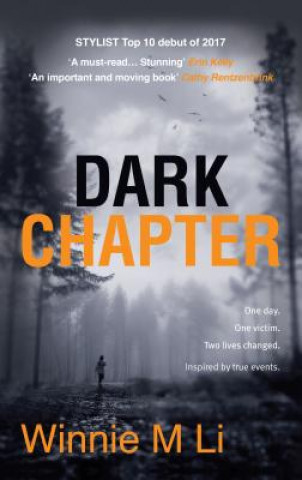 Kniha Dark Chapter: Hard-hitting crime fiction based on a true story Winnie M. Li