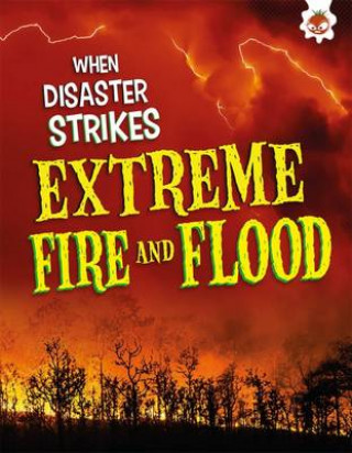 Kniha Extreme Fires and Floods John Barndon