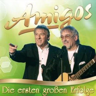 Audio Die ersten groáen Erfolge Amigos