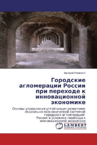 Libro Gorodskie aglomeracii Rossii pri perehode k innovacionnoj jekonomike Valerij Yanovskij