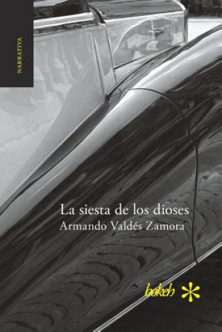 Book siesta de los dioses Armando Valdés Zamora