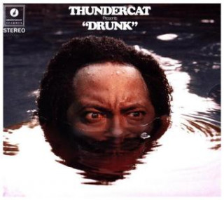Audio Drunk Thundercat