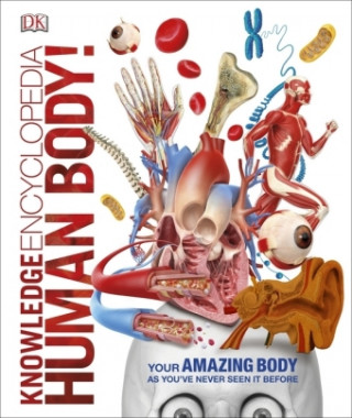 Könyv Knowledge Encyclopedia Human Body! DK