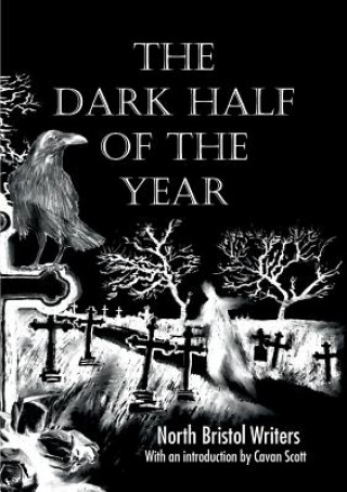 Kniha Dark Half of the Year Ian Millsted