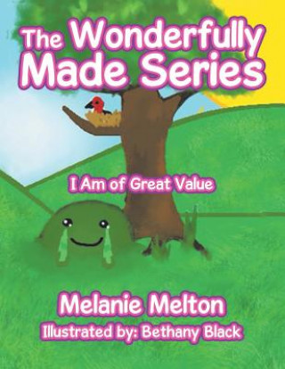 Knjiga Wonderfully Made Series Melanie Melton