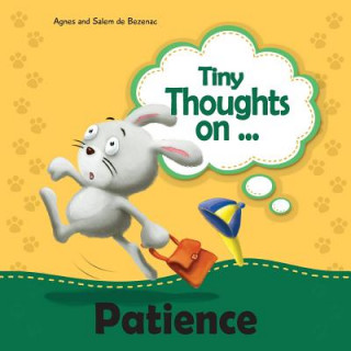 Knjiga Tiny Thoughts on Patience Agnes de Bezenac