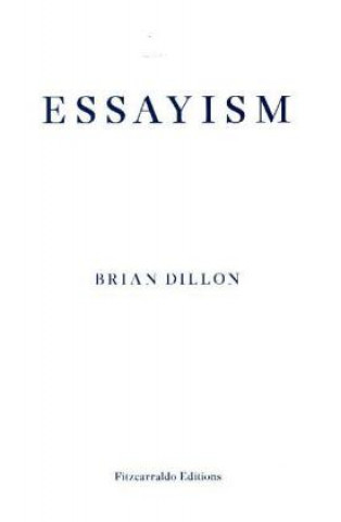 Kniha Essayism Brian Dillon