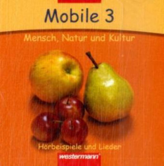 Audio 3. Schuljahr, 2 Audio-CDs Richard Meier