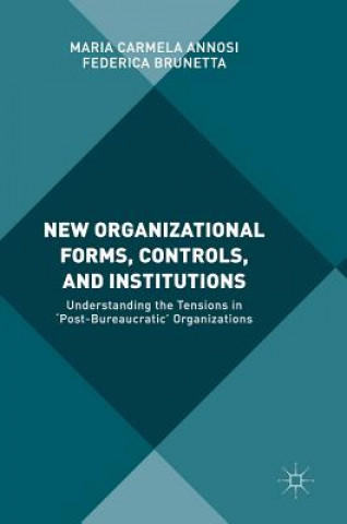 Książka New Organizational Forms, Controls, and Institutions Maria Carmela Annosi