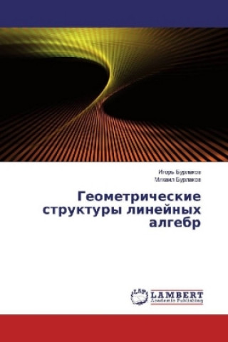 Könyv Geometricheskie struktury linejnyh algebr Igor' Burlakov