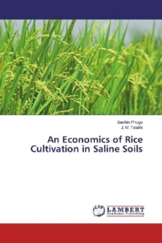 Könyv An Economics of Rice Cultivation in Saline Soils Sachin Phuge